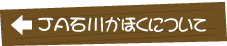 JA石川かほくの特産品