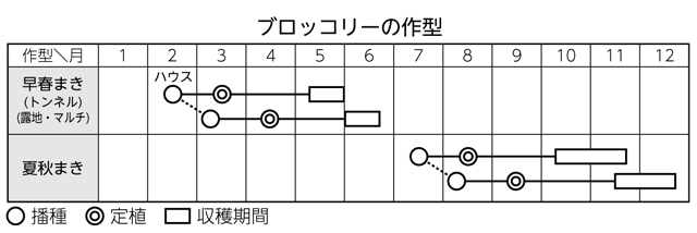 ブロッコリーの作型