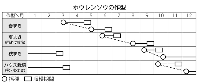 ホウレンソウの作型