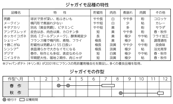 ジャガイモ品種の特性