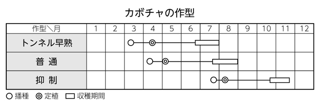 カボチャの作型