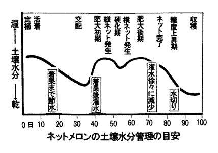 ネットメロンの土壌水分管理の目安