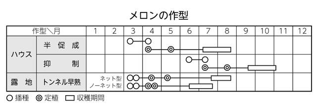 メロンの作型