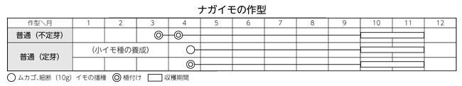 ナガイモの作型