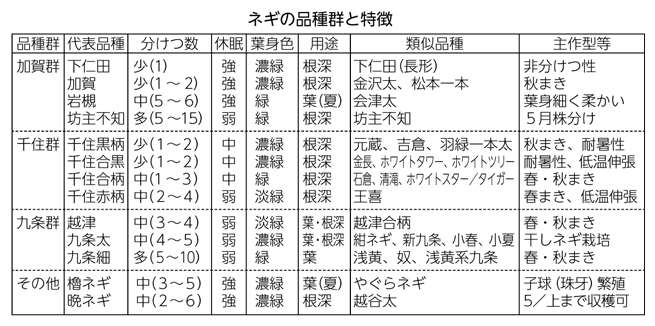 ネギの品種群と特徴