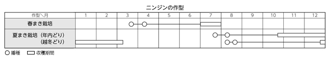 ニンジンの作型