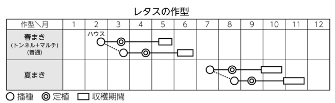 レタスの作型